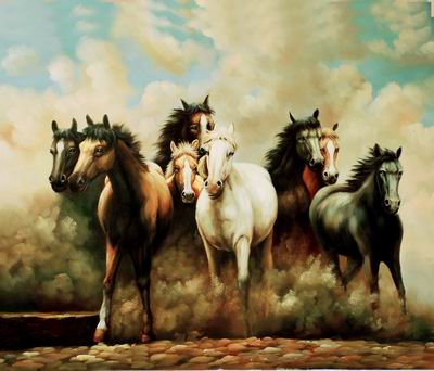 Horses 046